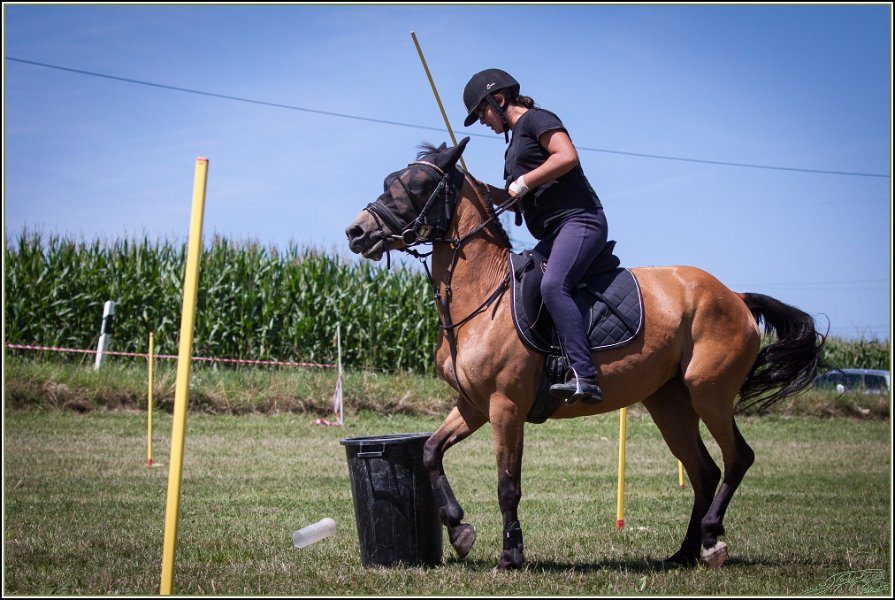 Mounted Games 195